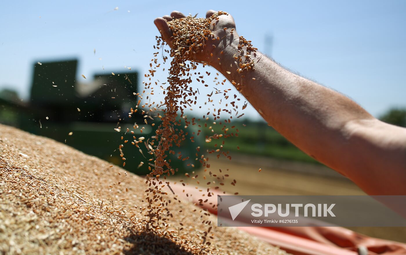 Russia Wheat Harvest