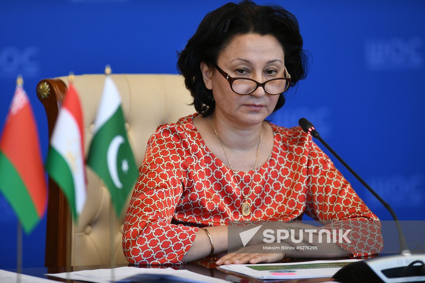 Meeting of Coordinating Council  of Shanghai Cooperation Organisation University