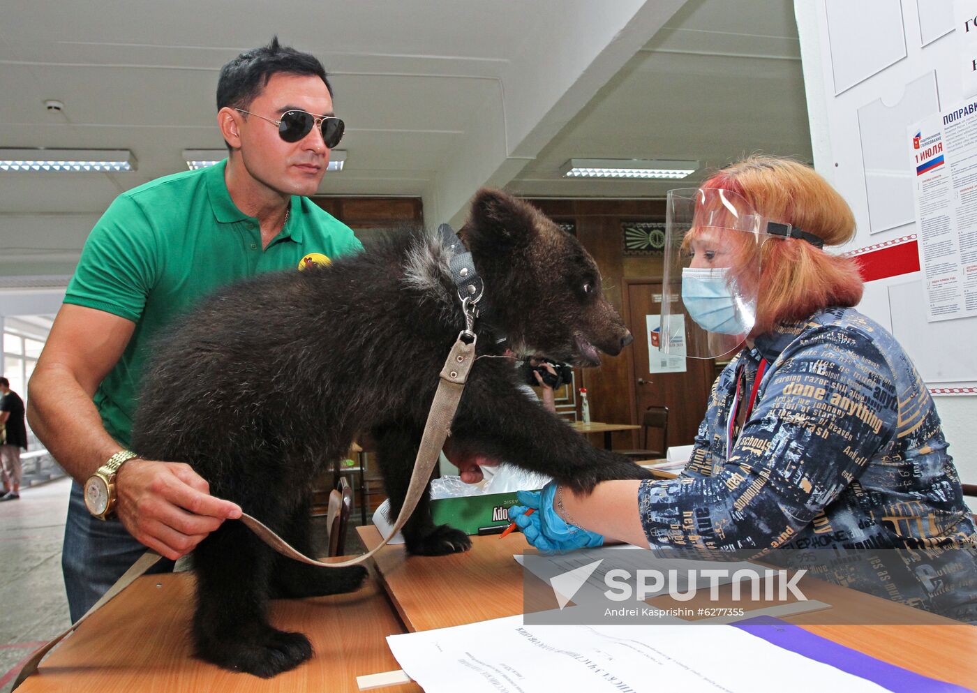 Russia Constitutional Reform Voting