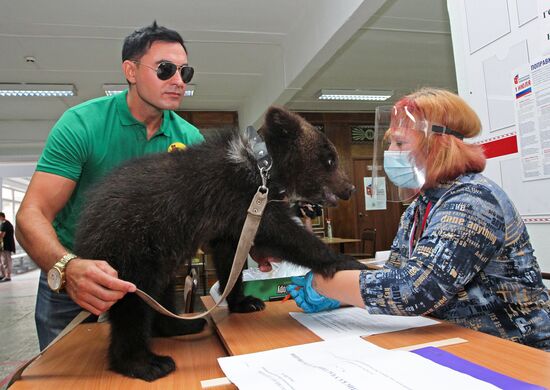 Russia Constitutional Reform Voting