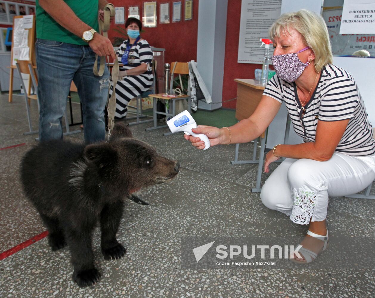 Russia Constitutional Reform Voting