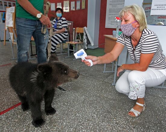 Russia Constitutional Reform Voting