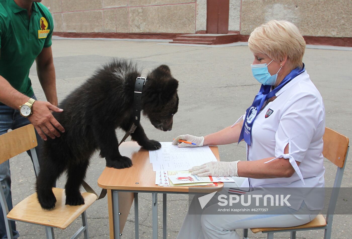 Russia Constitutional Reform Voting