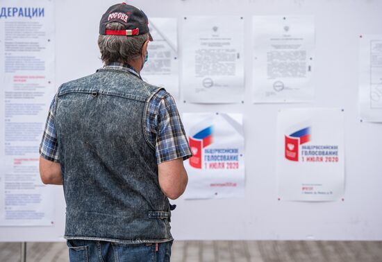 Worldwide Russian Constitutional Reform Voting