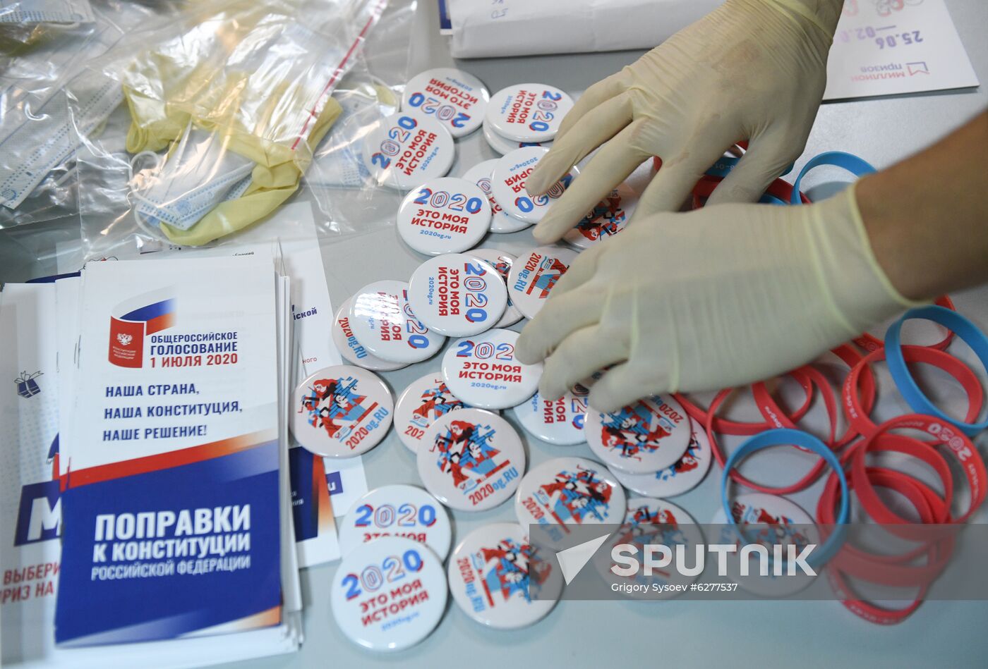 Russia Constitutional Reform Voting
