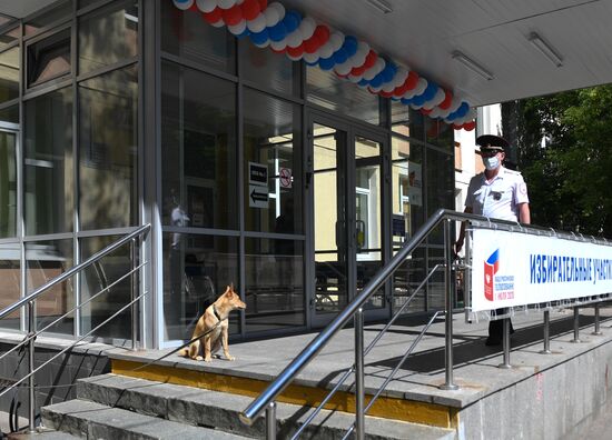 Russia Constitutional Reform Voting