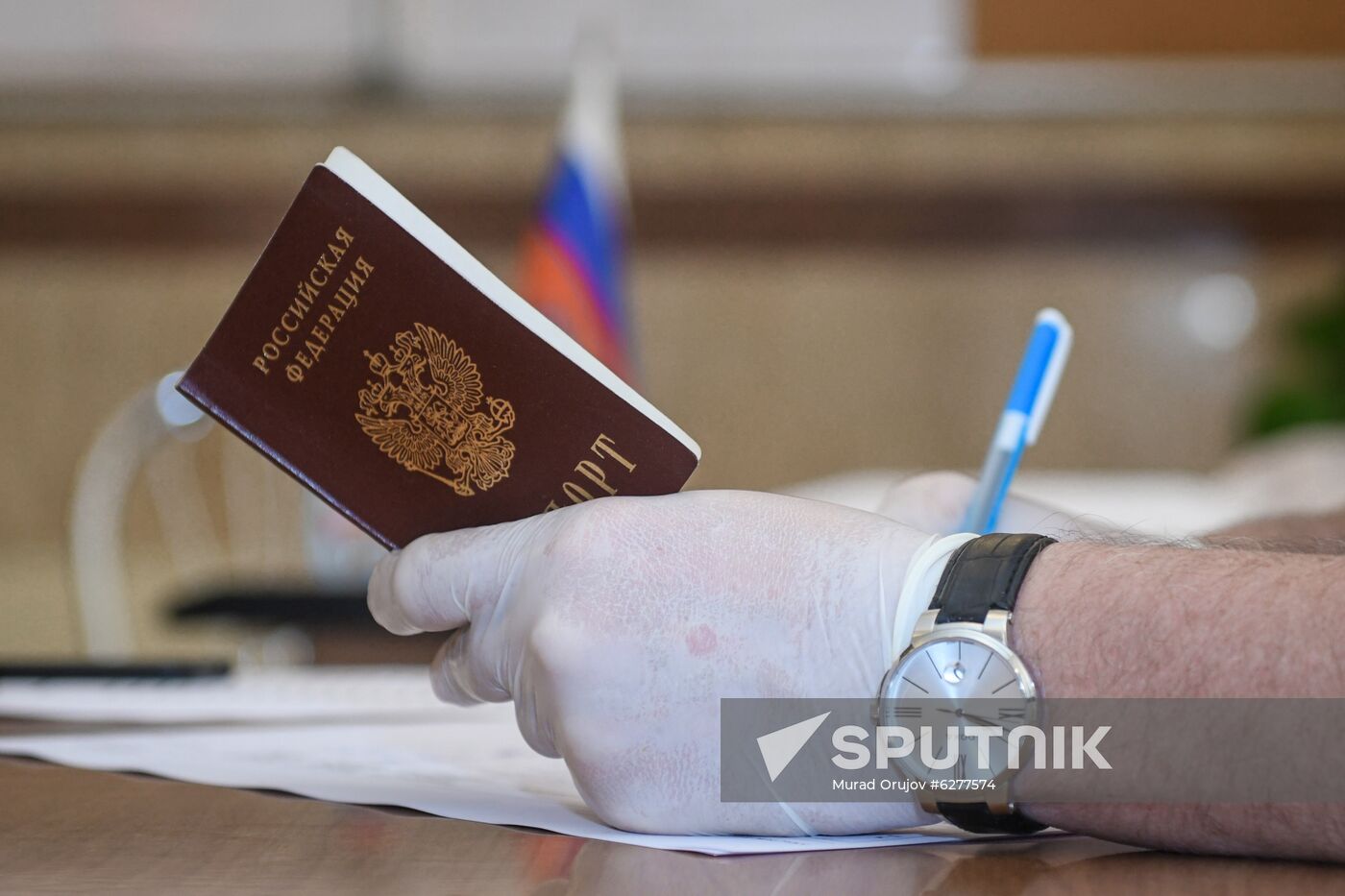 Worldwide Russian Constitutional Reform Voting