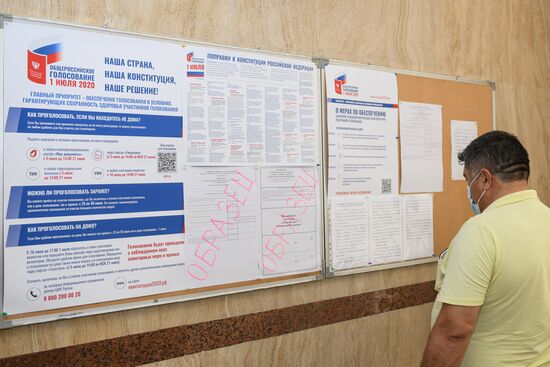 Worldwide Russian Constitutional Reform Voting