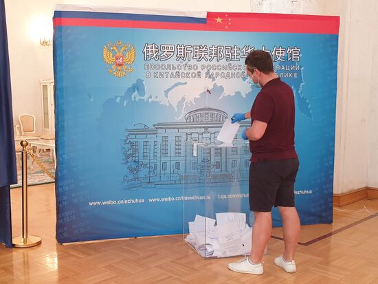 Worldwide Russian Constitutional Reform Voting
