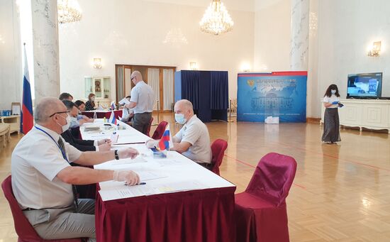 Worldwide Russian Constitutional Reform Voting