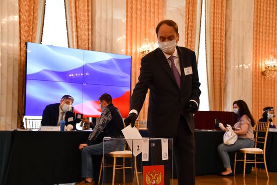 Worldwide Russian Constitutional Reform Voting
