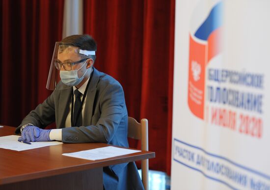 Worldwide Russian Constitutional Reform Voting