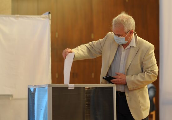 Worldwide Russian Constitutional Reform Voting