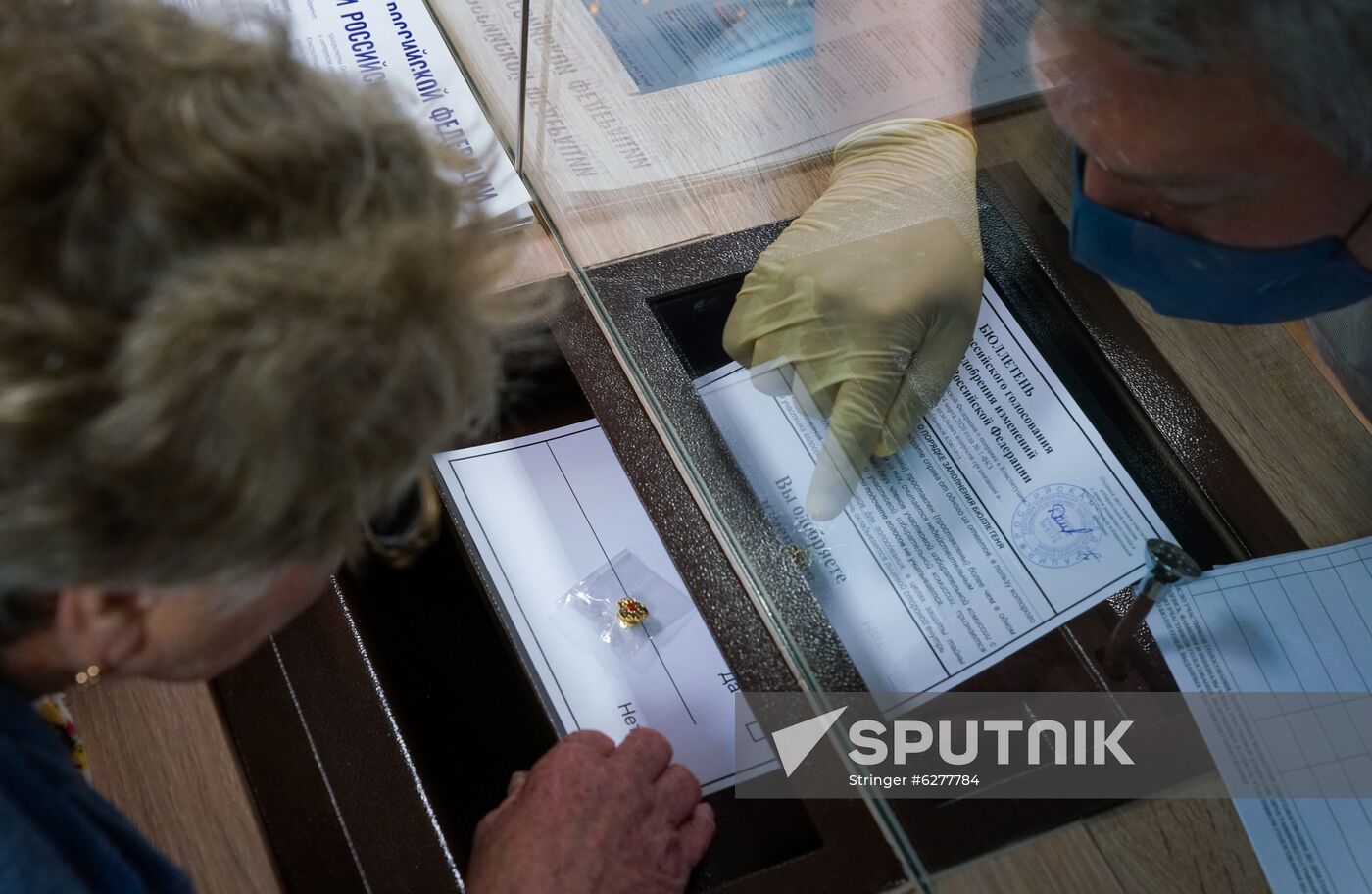 Worldwide Russian Constitutional Reform Voting 