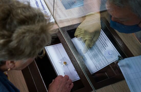Worldwide Russian Constitutional Reform Voting 