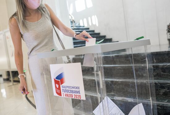 Worldwide Russian Constitutional Reform Voting 