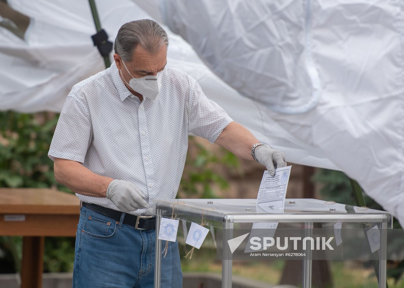 Worldwide Russian Constitutional Reform Voting