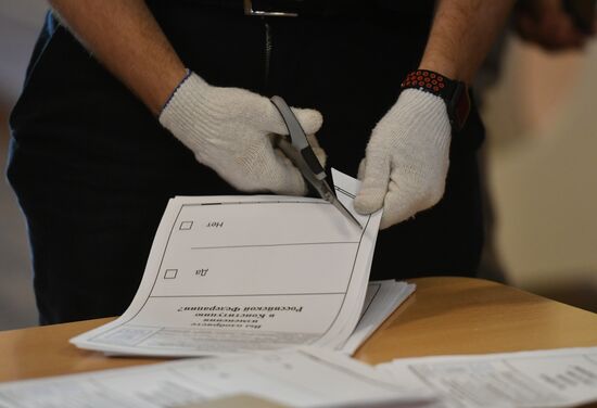 Russia Constitutional Reform Voting