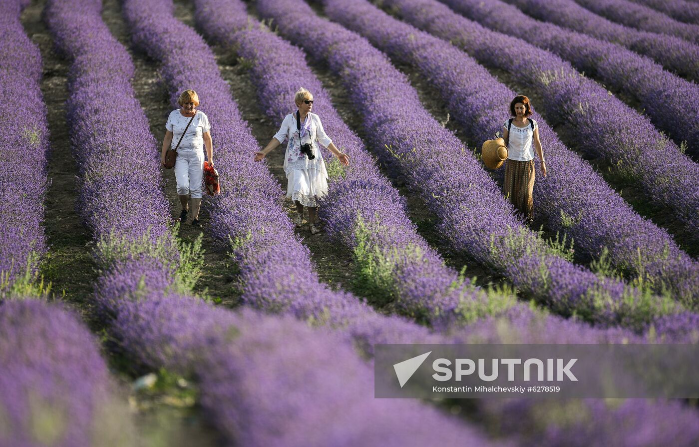 Russia Crimea Daily Life