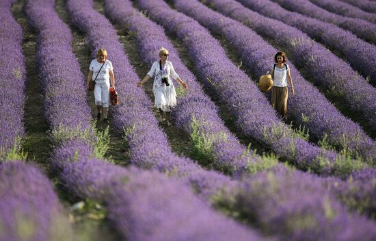 Russia Crimea Daily Life