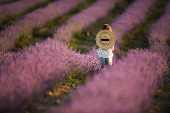 Russia Crimea Daily Life