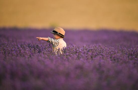 Russia Crimea Daily Life