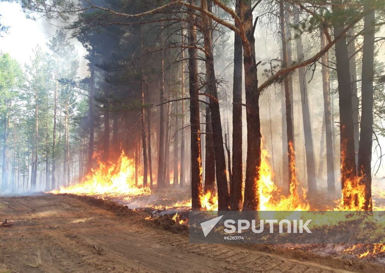 Russia Wildfires