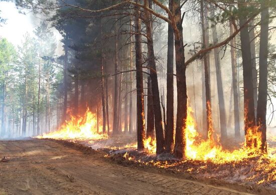 Russia Wildfires