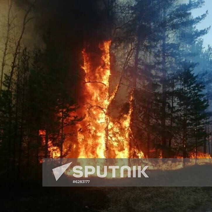 Russia Wildfires