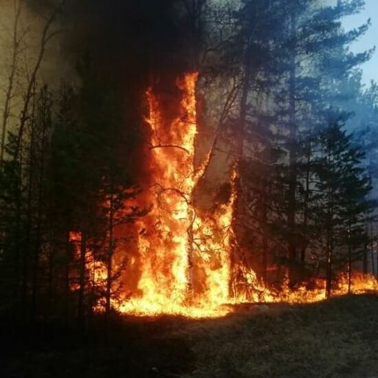 Russia Wildfires