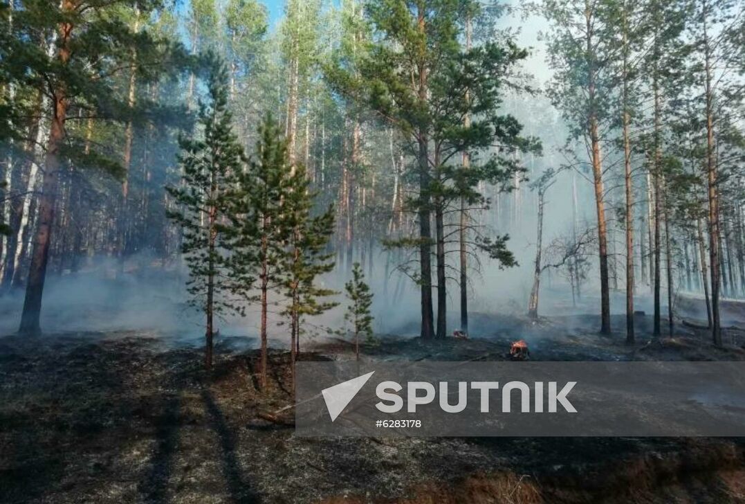 Russia Wildfires