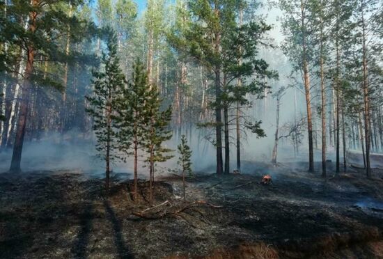 Russia Wildfires