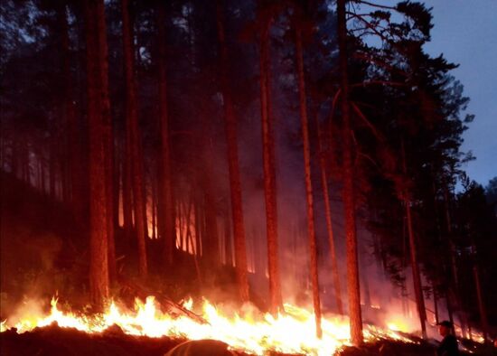 Russia Wildfires