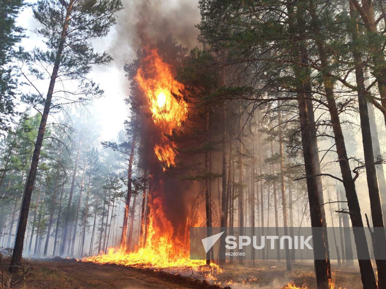 Russia Wildfires
