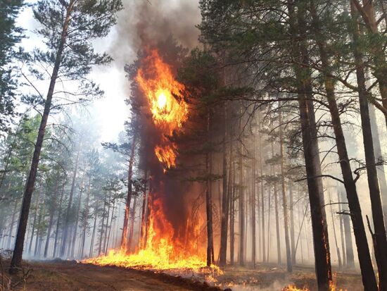 Russia Wildfires