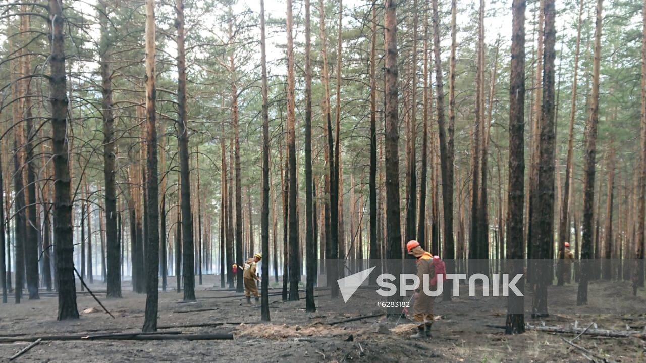 Russia Wildfires