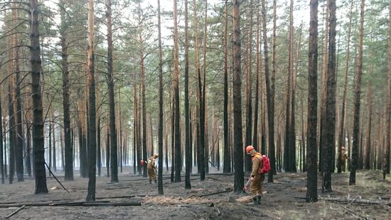 Russia Wildfires
