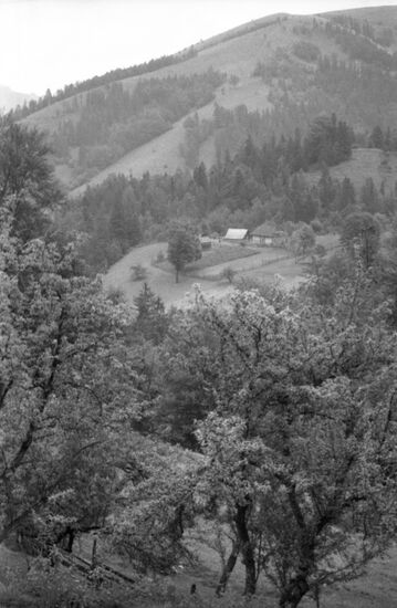 Carpathian region