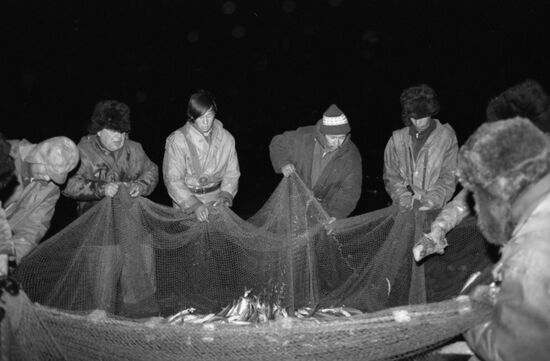 Tsentralny fishing collective farm