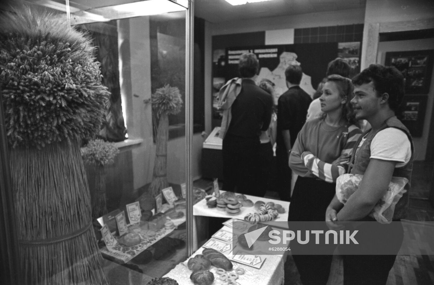 Soviet Belarus Collective Farm