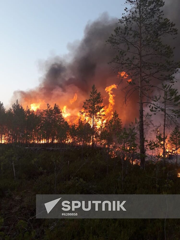 Russia Wildfires