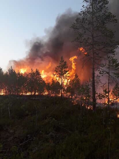 Russia Wildfires