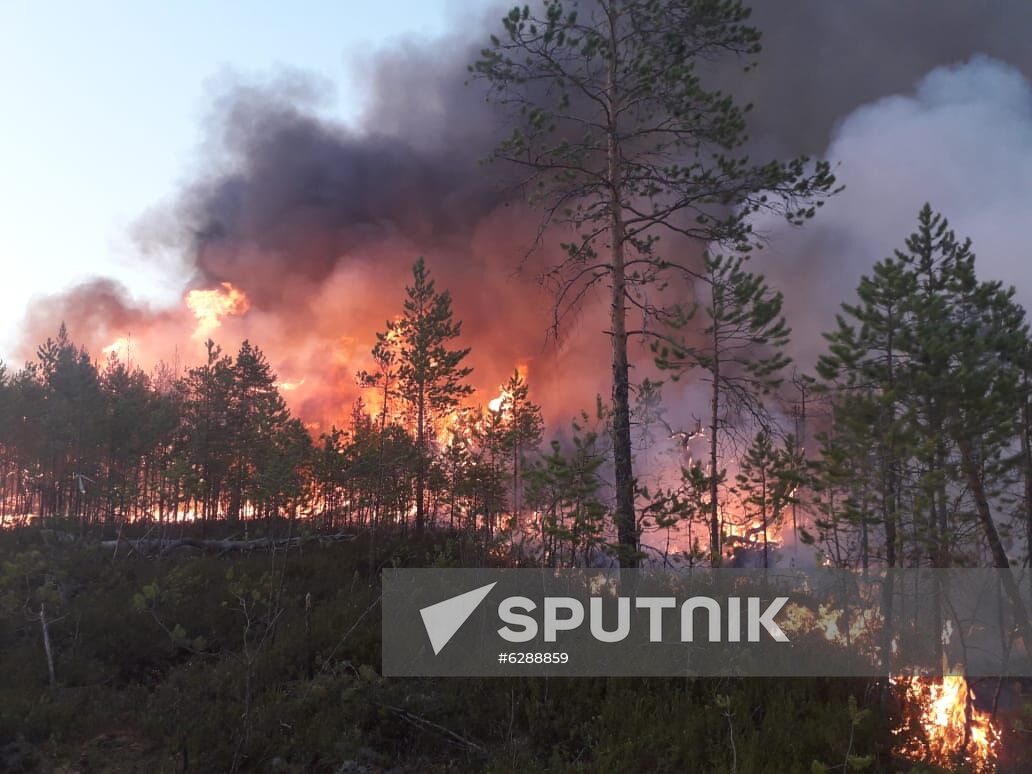 Russia Wildfires
