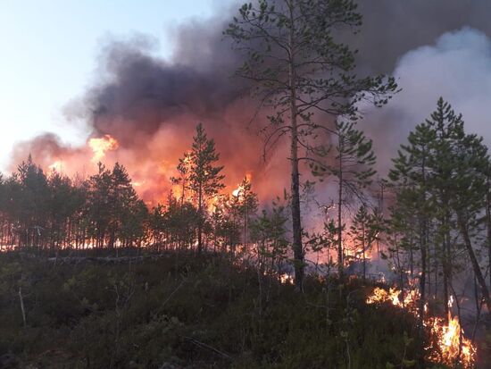 Russia Wildfires