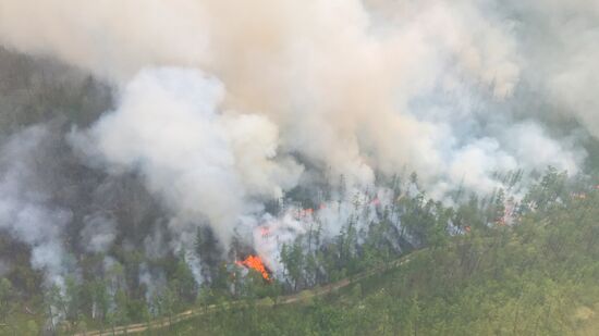 Russia Wildfires