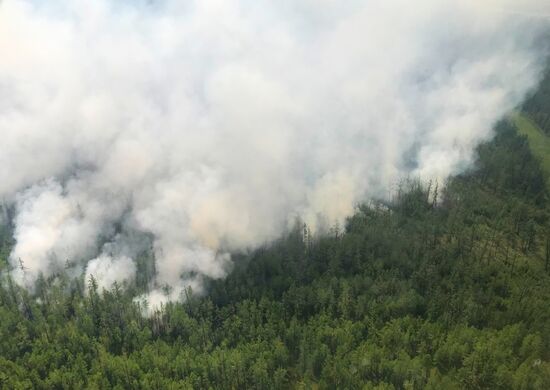 Russia Wildfires