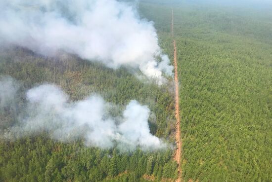 Russia Wildfires