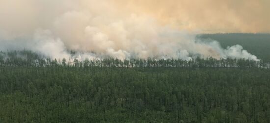 Russia Wildfires