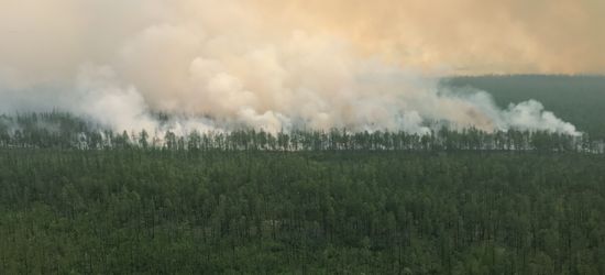 Russia Wildfires