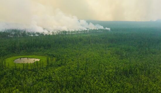Russia Wildfires
